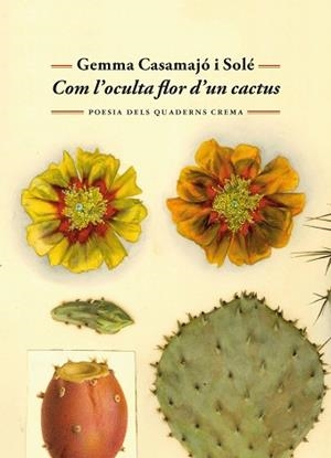 COM L'OCULTA FLOR D'UN CACTUS | 9788477277071 | CASAMAJÓ I SOLÉ, GEMMA | Llibreria Geli - Llibreria Online de Girona - Comprar llibres en català i castellà