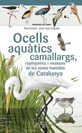OCELLS AQUÀTICS CAMALLARGS, RAPINYAIRES I MOIXONS DE LES ZONES HUMIDES DE CATALUNYA | 9788413564746 | COPETE, JOSÉ LUIS | Libreria Geli - Librería Online de Girona - Comprar libros en catalán y castellano