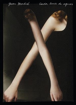 CADA LUNES DE AGUAS | 9788419737397 | MONTIEL GÁLVEZ, JUAN JOSÉ | Libreria Geli - Librería Online de Girona - Comprar libros en catalán y castellano