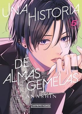 UNA HISTORIA DE ALMAS GEMELAS-5 | 9788419819628 | ANASHIN | Llibreria Geli - Llibreria Online de Girona - Comprar llibres en català i castellà