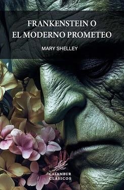 FRANKENSTEIN O EL MODERNO PROMETEO | 9788483596043 | SHELLEY, MARY | Llibreria Geli - Llibreria Online de Girona - Comprar llibres en català i castellà