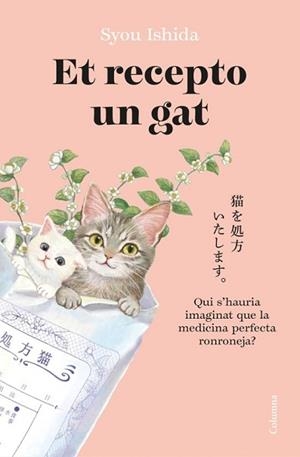 LI RECEPTARÉ UN GAT | 9788466433242 | ISHIDA, SYOU | Llibreria Geli - Llibreria Online de Girona - Comprar llibres en català i castellà