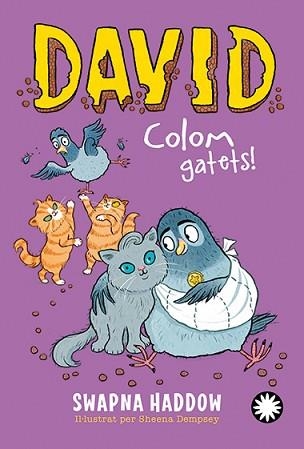 DAVID COLOM.GATETS! | 9788410090521 | HADDOW, SWAPNA | Libreria Geli - Librería Online de Girona - Comprar libros en catalán y castellano