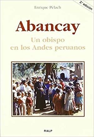 ABANCAY. UN OBISPO EN LOS ANDES PERUANOS | 9788432135552 | PELACH,ENRIQUE | Llibreria Geli - Llibreria Online de Girona - Comprar llibres en català i castellà