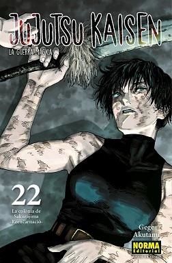 JUJUTSU KAISEN-22(EDICIÓ EN CATALÀ) | 9788467969948 | AKUTAMI, GEGE | Libreria Geli - Librería Online de Girona - Comprar libros en catalán y castellano