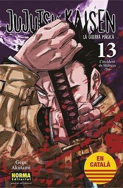 JUJUTSU KAISEN-13(EDICIÓ EN CATALÀ) | 9788467957679 | AKUTAMI, GEGE | Llibreria Geli - Llibreria Online de Girona - Comprar llibres en català i castellà