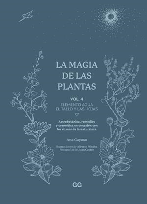 LA MAGIA DE LAS PLANTAS-4 | 9788425235641 | GAYOSO, ANA | Llibreria Geli - Llibreria Online de Girona - Comprar llibres en català i castellà
