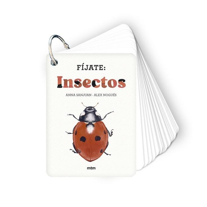 FÍJATE.INSECTOS | 9788410407183 | SANJUAN LLORENS, ANNA/NOGUÉS, ALEX | Llibreria Geli - Llibreria Online de Girona - Comprar llibres en català i castellà