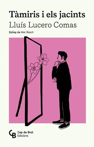 TÀMIRIS I ELS JACINTS | 9788412910858 | LUCERO COMAS, LLUÍS | Libreria Geli - Librería Online de Girona - Comprar libros en catalán y castellano