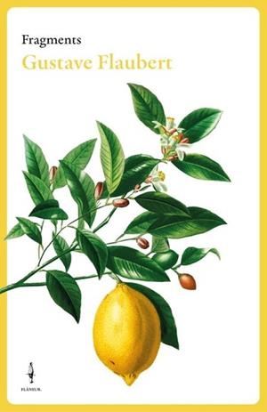 FRAGMENTS GUSTAVE FLAUBERT | 9788409684007 | FLAUBERT, GUSTAVE | Llibreria Geli - Llibreria Online de Girona - Comprar llibres en català i castellà