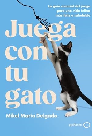 JUEGA CON TU GATO | 9788408300861 | DELGADO, MIKEL MARIA | Llibreria Geli - Llibreria Online de Girona - Comprar llibres en català i castellà