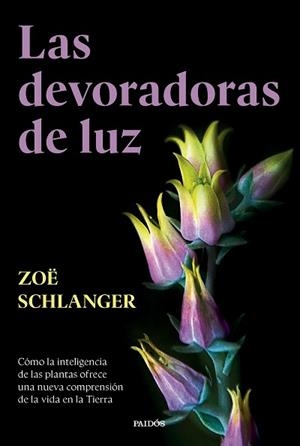 LAS DEVORADORAS DE LUZ | 9788449343742 | SCHLANGER, ZOË | Libreria Geli - Librería Online de Girona - Comprar libros en catalán y castellano