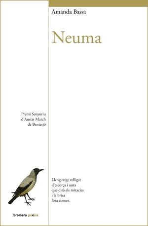 NEUMA | 9788413587851 | BASSA,AMANDA | Llibreria Geli - Llibreria Online de Girona - Comprar llibres en català i castellà