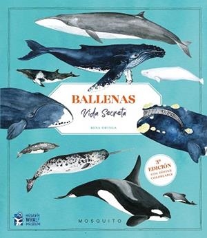 BALLENAS.VIDA SECRETA(3ª EDICIÓN CON PÓSTER COLOREABLE) | 9788410417151 | ORTEGA, RENA/ORTEGA, RENA | Libreria Geli - Librería Online de Girona - Comprar libros en catalán y castellano