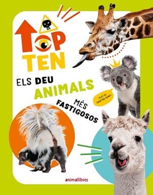 TOP TEN ELS DEU ANIMALS MÉS FASTIGOSOS | 9788410302273 | BANFI,CRISTINA | Libreria Geli - Librería Online de Girona - Comprar libros en catalán y castellano