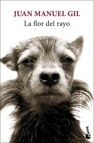 LA FLOR DEL RAYO | 9788432244827 | GIL, JUAN MANUEL | Libreria Geli - Librería Online de Girona - Comprar libros en catalán y castellano