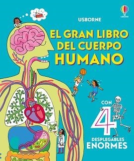 EL GRAN LIBRO DEL CUERPO HUMANO | 9781836062790 | LACEY, MINNA | Llibreria Geli - Llibreria Online de Girona - Comprar llibres en català i castellà