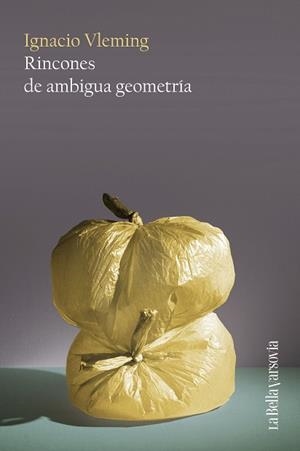 RINCONES DE AMBIGUA GEOMETRÍA | 9788433929402 | VLEMING, IGNACIO | Llibreria Geli - Llibreria Online de Girona - Comprar llibres en català i castellà