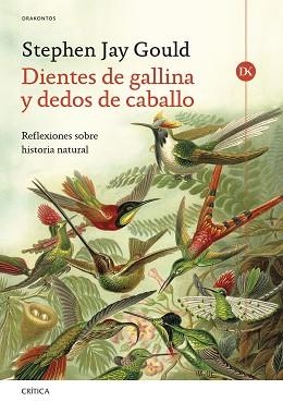 DIENTES DE GALLINA Y DEDOS DE CABALLO | 9788491997849 | GOULD, STEPHEN JAY | Llibreria Geli - Llibreria Online de Girona - Comprar llibres en català i castellà