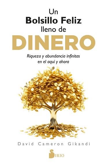 UN BOLSILLO FELIZ LLENO DE DINERO | 9788410335448 | CAMERON GIKANDI, DAVID | Libreria Geli - Librería Online de Girona - Comprar libros en catalán y castellano