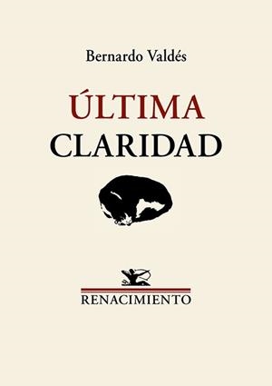 ÚLTIMA CLARIDAD | 9791387552787 | VALDÉS, BERNARDO | Llibreria Geli - Llibreria Online de Girona - Comprar llibres en català i castellà