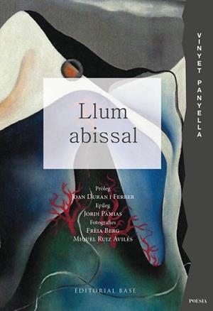 LLUM ABISSAL | 9791387728021 | PANYELLA, VINYET | Libreria Geli - Librería Online de Girona - Comprar libros en catalán y castellano
