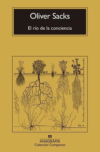 EL RÍO DE LA CONCIENCIA | 9788433946867 | SACKS, OLIVER | Libreria Geli - Librería Online de Girona - Comprar libros en catalán y castellano