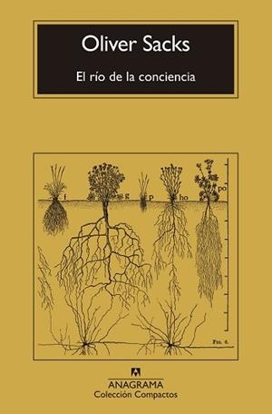 EL RÍO DE LA CONCIENCIA | 9788433946867 | SACKS, OLIVER | Llibreria Geli - Llibreria Online de Girona - Comprar llibres en català i castellà