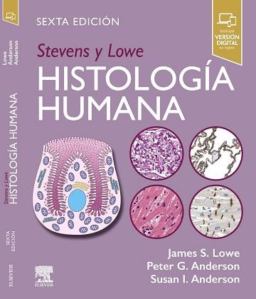 STEVENS Y LOWE. HISTOLOGÍA HUMANA(6ª EDICIÓN 2025) | 9788413827865 | LOWE, JAMES S./ANDERSON, PETER G./ANDERSON, SUSAN I. | Libreria Geli - Librería Online de Girona - Comprar libros en catalán y castellano