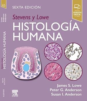 STEVENS Y LOWE. HISTOLOGÍA HUMANA(6ª EDICIÓN 2025) | 9788413827865 | LOWE, JAMES S./ANDERSON, PETER G./ANDERSON, SUSAN I. | Llibreria Geli - Llibreria Online de Girona - Comprar llibres en català i castellà