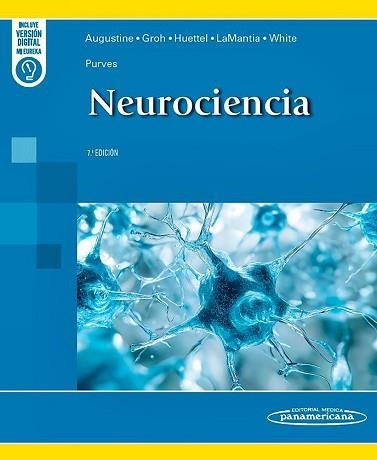 PURVES.NEUROCIENCIA(7ª EDICIÓN 2025 DUO) | 9788411062817 | GEORGE J. AUGUSTINE/JENNIFER M. GROH/SCOTT A. | Libreria Geli - Librería Online de Girona - Comprar libros en catalán y castellano