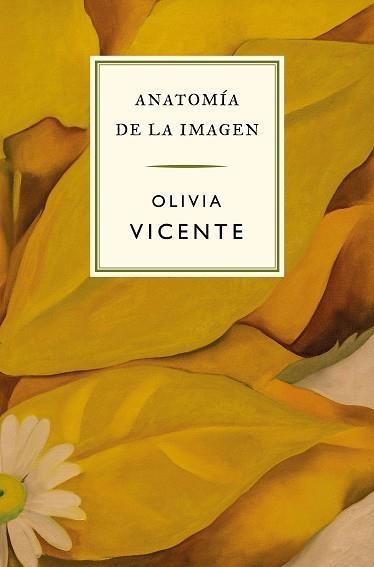 ANATOMÍA DE LA IMAGEN | 9788419243683 | VICENTE, OLIVIA | Libreria Geli - Librería Online de Girona - Comprar libros en catalán y castellano