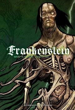 FRANKENSTEIN TOMÁS HIJO | 9788445019795 | SHELLEY, MARY/HIJO, TOMÁS | Llibreria Geli - Llibreria Online de Girona - Comprar llibres en català i castellà