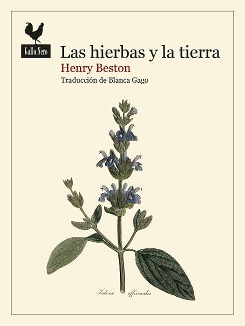 LAS HIERBAS Y LA TIERRA | 9788419168740 | BESTON, HENRY | Libreria Geli - Librería Online de Girona - Comprar libros en catalán y castellano
