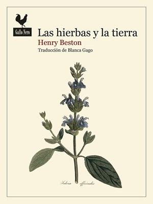LAS HIERBAS Y LA TIERRA | 9788419168740 | BESTON, HENRY | Llibreria Geli - Llibreria Online de Girona - Comprar llibres en català i castellà