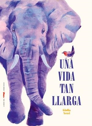 UNA VIDA TAN LLARGA | 9788412970081 | VETRI, GIULIA | Llibreria Geli - Llibreria Online de Girona - Comprar llibres en català i castellà