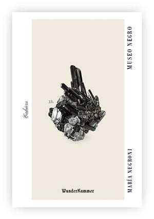 MUSEO NEGRO | 9788412743142 | NEGRONI, MARÍA | Llibreria Geli - Llibreria Online de Girona - Comprar llibres en català i castellà