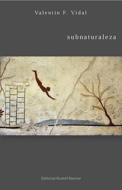 SUBNATURALEZA | 9788418919435 | FERNANDEZ VIDAL, VALENTIN | Libreria Geli - Librería Online de Girona - Comprar libros en catalán y castellano