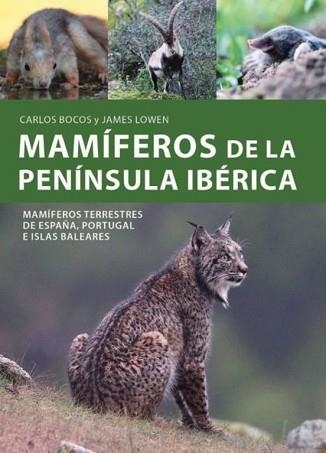 MAMIFEROS DE LA PENINSULA IBERICA | 9788428217873 | BOCOS,CARLOS | Libreria Geli - Librería Online de Girona - Comprar libros en catalán y castellano