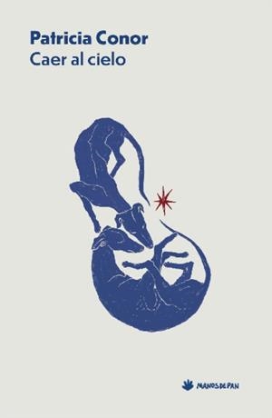 CAER AL CIELO | 9788412976182 | CONOR, PATRICIA | Libreria Geli - Librería Online de Girona - Comprar libros en catalán y castellano