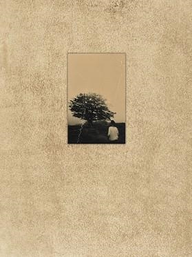 EL VUELO LLEVA AL VUELO | 9788409748044 | REQUENA,JUANAN | Libreria Geli - Librería Online de Girona - Comprar libros en catalán y castellano