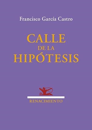 CALLE DE LA HIPÓTESIS | 9791387939281 | GARCÍA CASTRO, FRANCISCO | Llibreria Geli - Llibreria Online de Girona - Comprar llibres en català i castellà