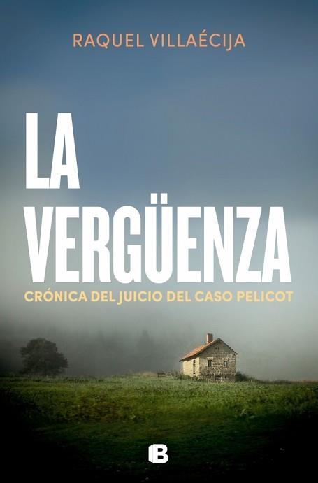 LA VERGÜENZA | 9788466683029 | VILLAECIJA, RAQUEL | Llibreria Geli - Llibreria Online de Girona - Comprar llibres en català i castellà