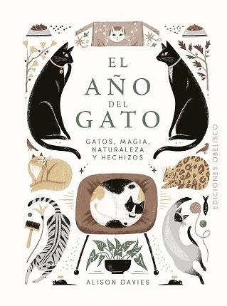 EL AÑO DEL GATO | 9788411723091 | DAVIES, ALISON | Llibreria Geli - Llibreria Online de Girona - Comprar llibres en català i castellà