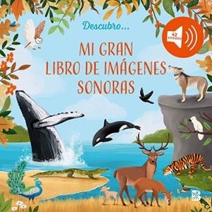MI GRAN LIBRO DE IMÁGENES  SONORAS | 9789403242446 | Llibreria Geli - Llibreria Online de Girona - Comprar llibres en català i castellà