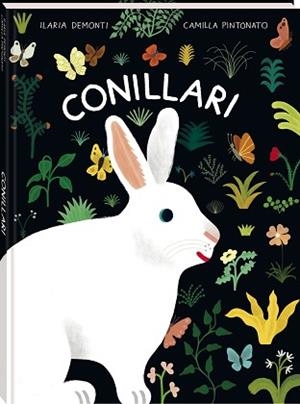 CONILLARI | 9788419913760 | ILARIA, DEMONTI | Libreria Geli - Librería Online de Girona - Comprar libros en catalán y castellano