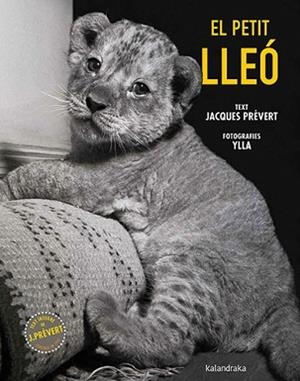 EL PETIT LLEÓ | 9788410387102 | PRÉVERT, JACQUES | Llibreria Geli - Llibreria Online de Girona - Comprar llibres en català i castellà