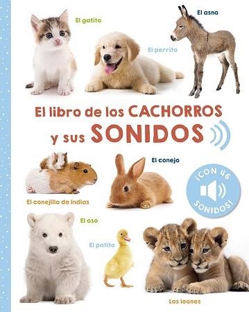 EL LIBRO DE LOS CACHORROS Y SUS SONIDOS | 9788491457459 | ARSEDITION GMBH | Libreria Geli - Librería Online de Girona - Comprar libros en catalán y castellano