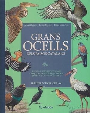 GRANS OCELLS DELS PAÏSOS CATALANS | 9791387658236 | BOADA, MARTI/SARGATAL, JORDI/MARLÉS, JAUME | Llibreria Geli - Llibreria Online de Girona - Comprar llibres en català i castellà