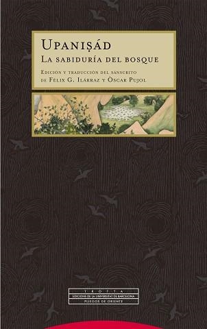 UPANISÁD | 9788413643021 | ILÁRRAZ, FÉLIX G./PUJOL, ÒSCAR | Libreria Geli - Librería Online de Girona - Comprar libros en catalán y castellano